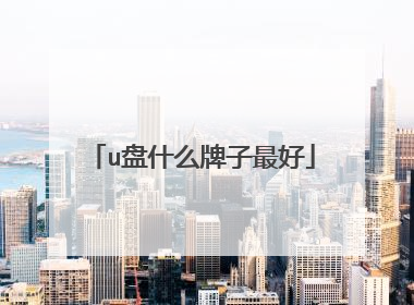 u盘什么牌子最好
