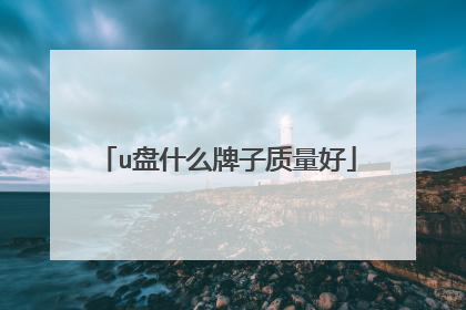 u盘什么牌子质量好
