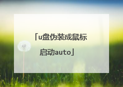 u盘伪装成鼠标启动auto
