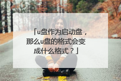 u盘作为启动盘，那么u盘的格式会变成什么格式？