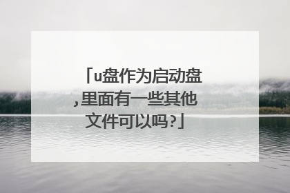 u盘作为启动盘,里面有一些其他文件可以吗?