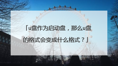 u盘作为启动盘,那么u盘的格式会变成什么格式?