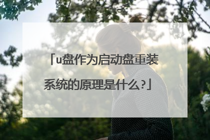 u盘作为启动盘重装系统的原理是什么?
