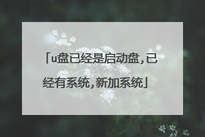 u盘已经是启动盘,已经有系统,新加系统