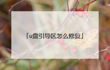 u盘引导区怎么修复