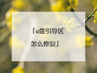 u盘引导区怎么修复