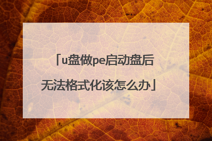 u盘做pe启动盘后无法格式化该怎么办