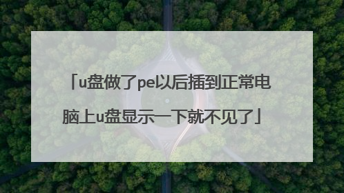 u盘做了pe以后插到正常电脑上u盘显示一下就不见了