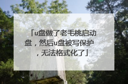 u盘做了老毛桃启动盘，然后u盘被写保护，无法格式化了