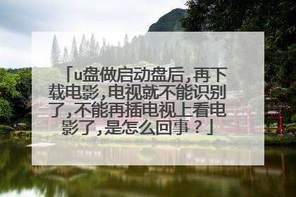 u盘做启动盘后,再下载电影,电视就不能识别了,不能再插电视上看电影了,是怎么回事?
