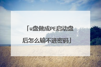 u盘做成PE启动盘后怎么输不进密码