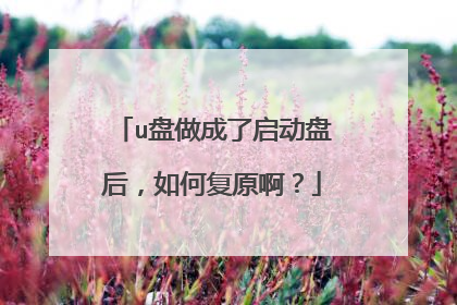 u盘做成了启动盘后，如何复原啊？