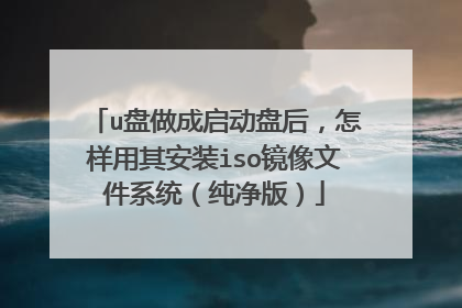 u盘做成启动盘后,怎样用其安装iso镜像文件系统(纯净版)