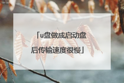 u盘做成启动盘后传输速度很慢