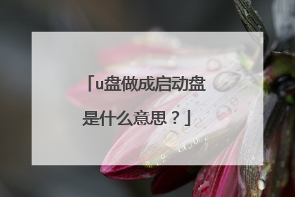 u盘做成启动盘是什么意思?