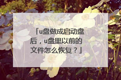 u盘做成启动盘后,u盘里以前的文件怎么恢复?