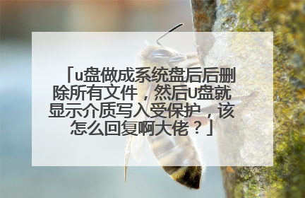 u盘做成系统盘后后删除所有文件,然后U盘就显示介质写入受保护,该怎么回复啊大佬?