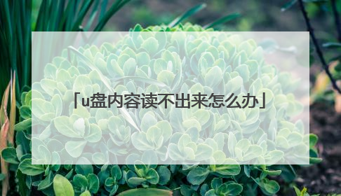 u盘内容读不出来怎么办