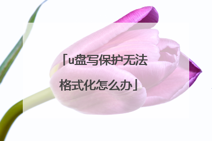 u盘写保护无法格式化怎么办
