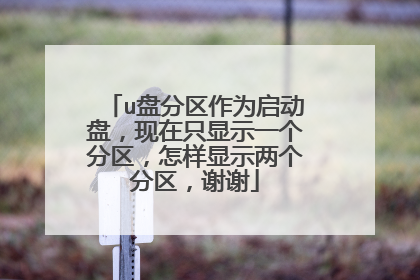u盘分区作为启动盘，现在只显示一个分区，怎样显示两个分区，谢谢