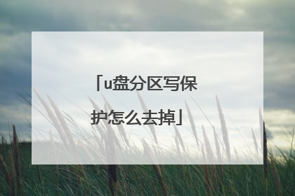 u盘分区写保护怎么去掉