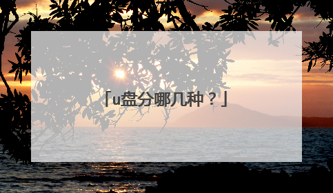u盘分哪几种?
