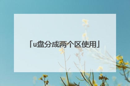 u盘分成两个区使用