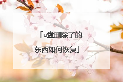 u盘删除了的东西如何恢复
