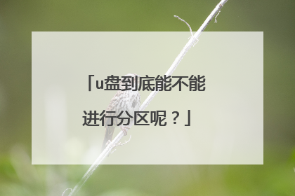 u盘到底能不能进行分区呢?