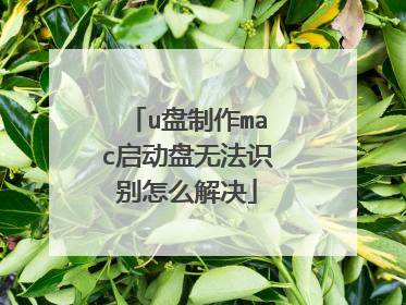 u盘制作mac启动盘无法识别怎么解决