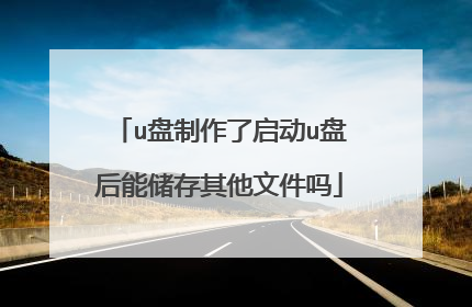 u盘制作了启动u盘后能储存其他文件吗