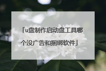 u盘制作启动盘工具哪个没广告和捆绑软件