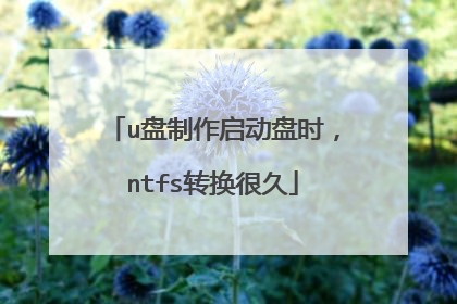 u盘制作启动盘时,ntfs转换很久