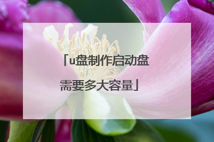 u盘制作启动盘需要多大容量