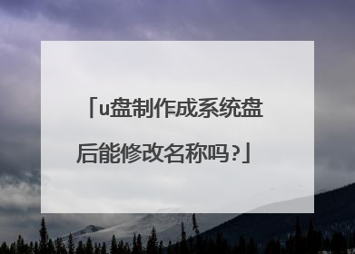 u盘制作成系统盘后能修改名称吗?