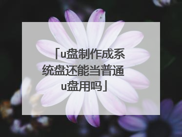 u盘制作成系统盘还能当普通u盘用吗