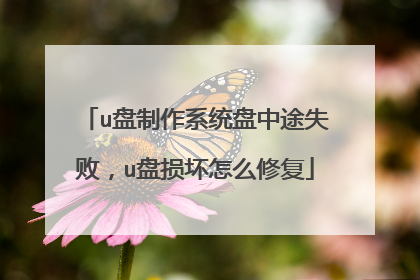 u盘制作系统盘中途失败,u盘损坏怎么修复