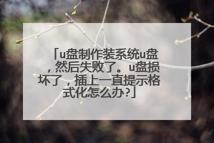 u盘制作装系统u盘,然后失败了。u盘损坏了,插上一直提示格式化怎么办?