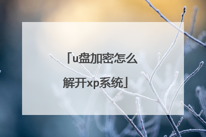u盘加密怎么解开xp系统