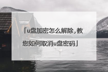 u盘加密怎么解除,教您如何取消u盘密码
