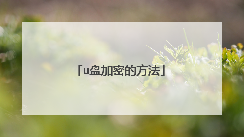 u盘加密的方法