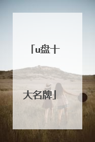 u盘十大名牌