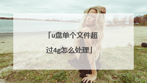 u盘单个文件超过4g怎么处理