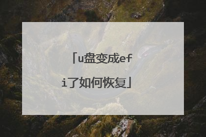 u盘变成efi了如何恢复