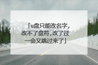 u盘只能改名字,改不了盘符,改了过一会又跳过来了