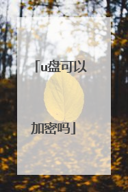 u盘可以加密吗