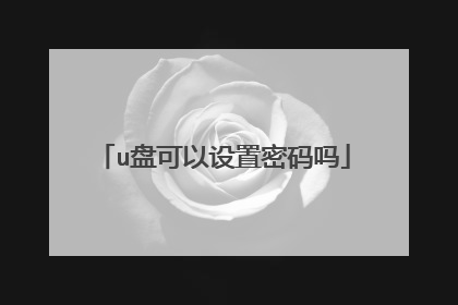 u盘可以设置密码吗