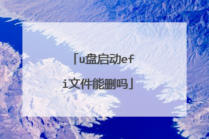 u盘启动efi文件能删吗