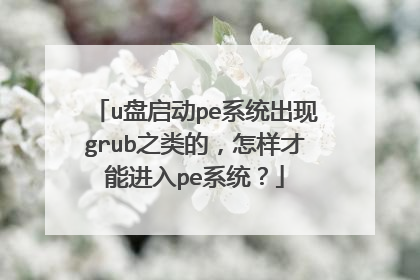u盘启动pe系统出现grub之类的,怎样才能进入pe系统?