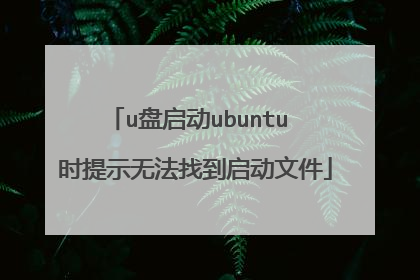 u盘启动ubuntu 时提示无法找到启动文件